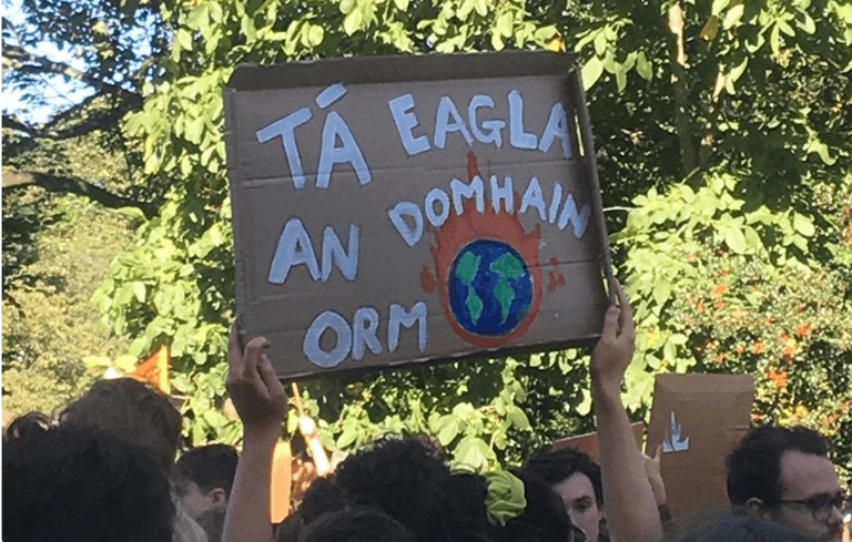 Our Favourite Protest Signs From The Climate Strike In Dublin Yesterday Our Favourite Protest Signs From The Climate Strike In Dublin Yesterday