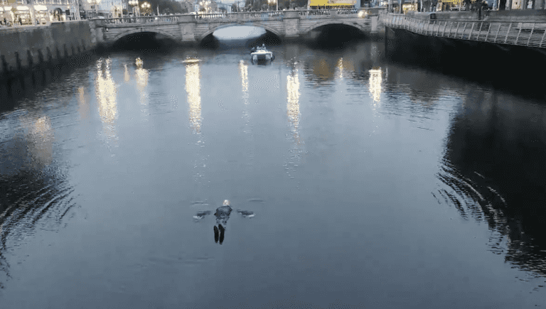 WATCH: A man was spotted paddling down the Liffey this morning and now we know why WATCH: A man was spotted paddling down the Liffey this morning and now we know why
