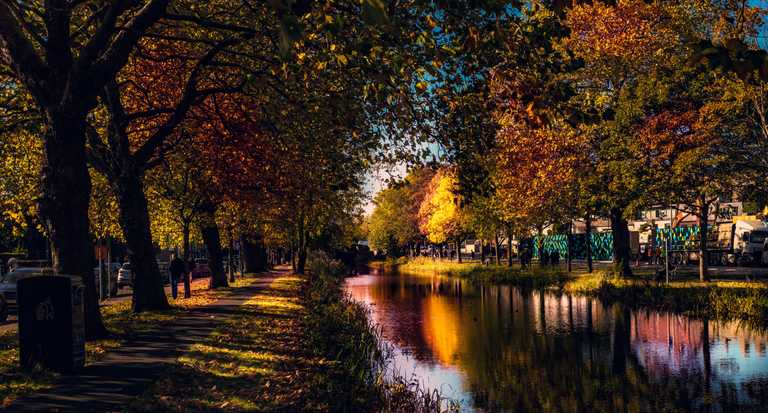 7 scenic walks in Dublin for enjoying the autumn leaves 7 scenic walks in Dublin for enjoying the autumn leaves