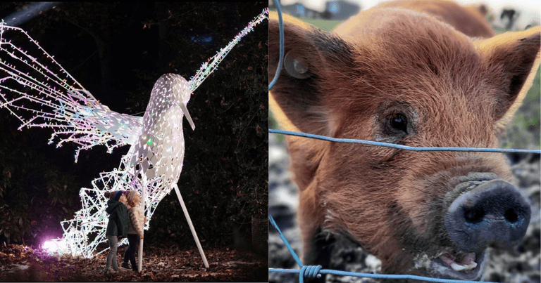 7 wholesome activities for those in-between days after Christmas 7 wholesome activities for those in-between days after Christmas