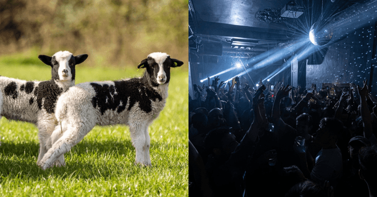 9 events to check out in Dublin over the Easter bank holiday weekend 9 events to check out in Dublin over the Easter bank holiday weekend