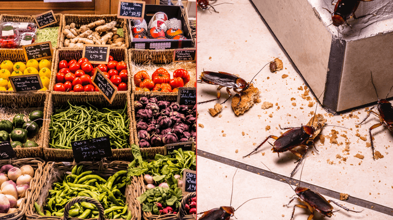 Dublin grocery issued closure order last month due to ‘cockroach infestation’ Dublin grocery issued closure order last month due to ‘cockroach infestation’