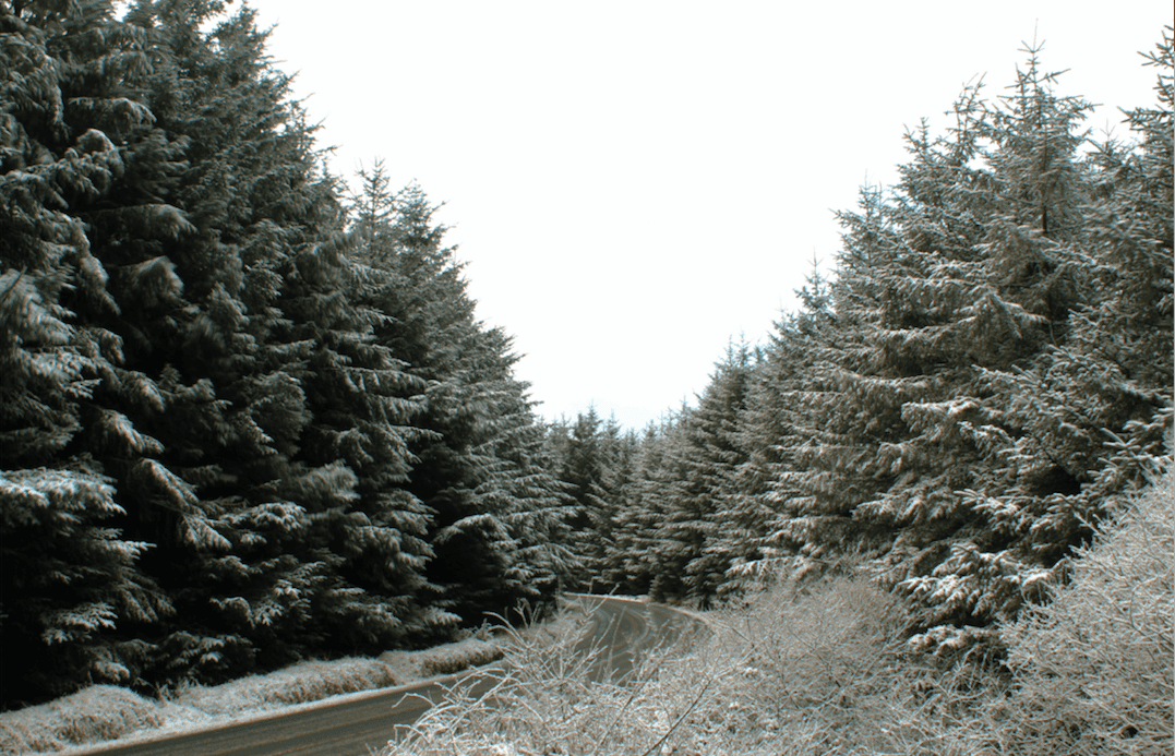 Snow possible in parts of Dublin today as day of unsettled weather expected
