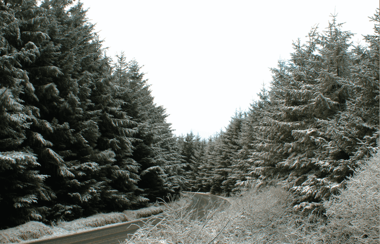Snow possible in parts of Dublin today as day of unsettled weather expected