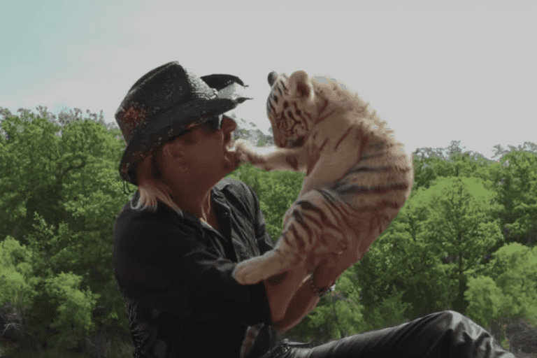 You can take part in Ireland’s biggest Tiger King quiz this weekend