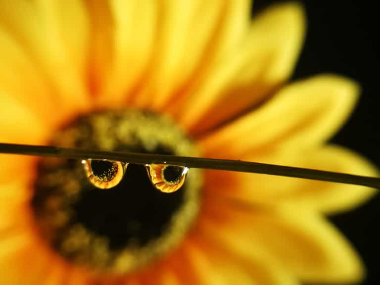 Huawei want your inspirational photos for their stunning competition
