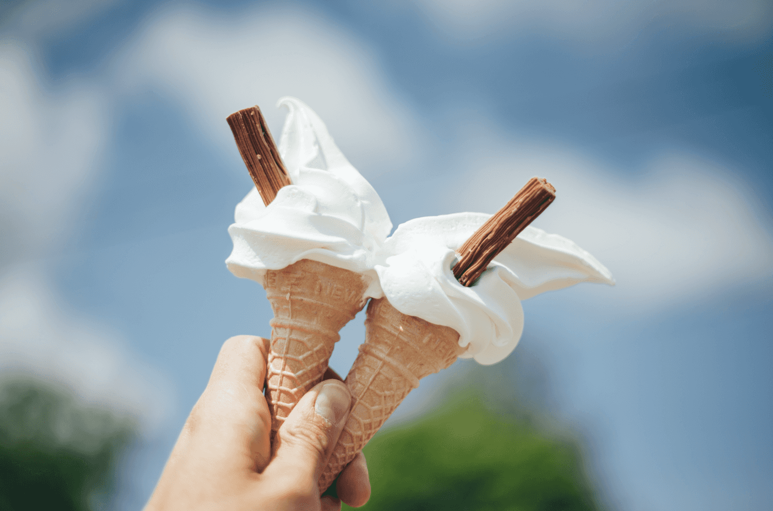 Teddy’s Ice Cream issued closure order by food safety body