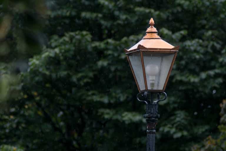 ‘People feel unsafe’ – Petition set up to improve Phoenix Park lighting for evening exercise