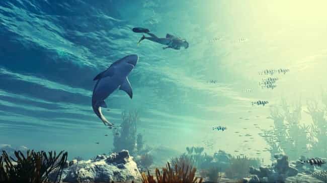 Lovin Games Weekly – PlayStation and Xbox reveal their free subscription games for January