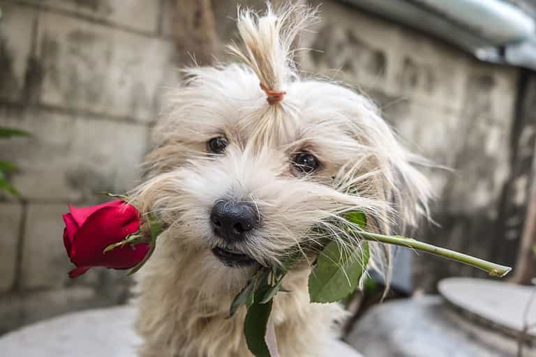 Five fun, alternative ways to celebrate Valentine’s Day this weekend