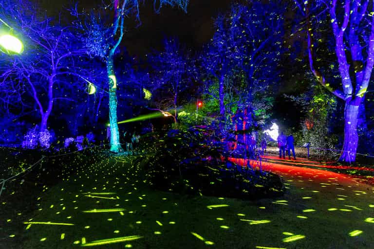 Wonderlights to make a return this Christmas with a sparkling new theme