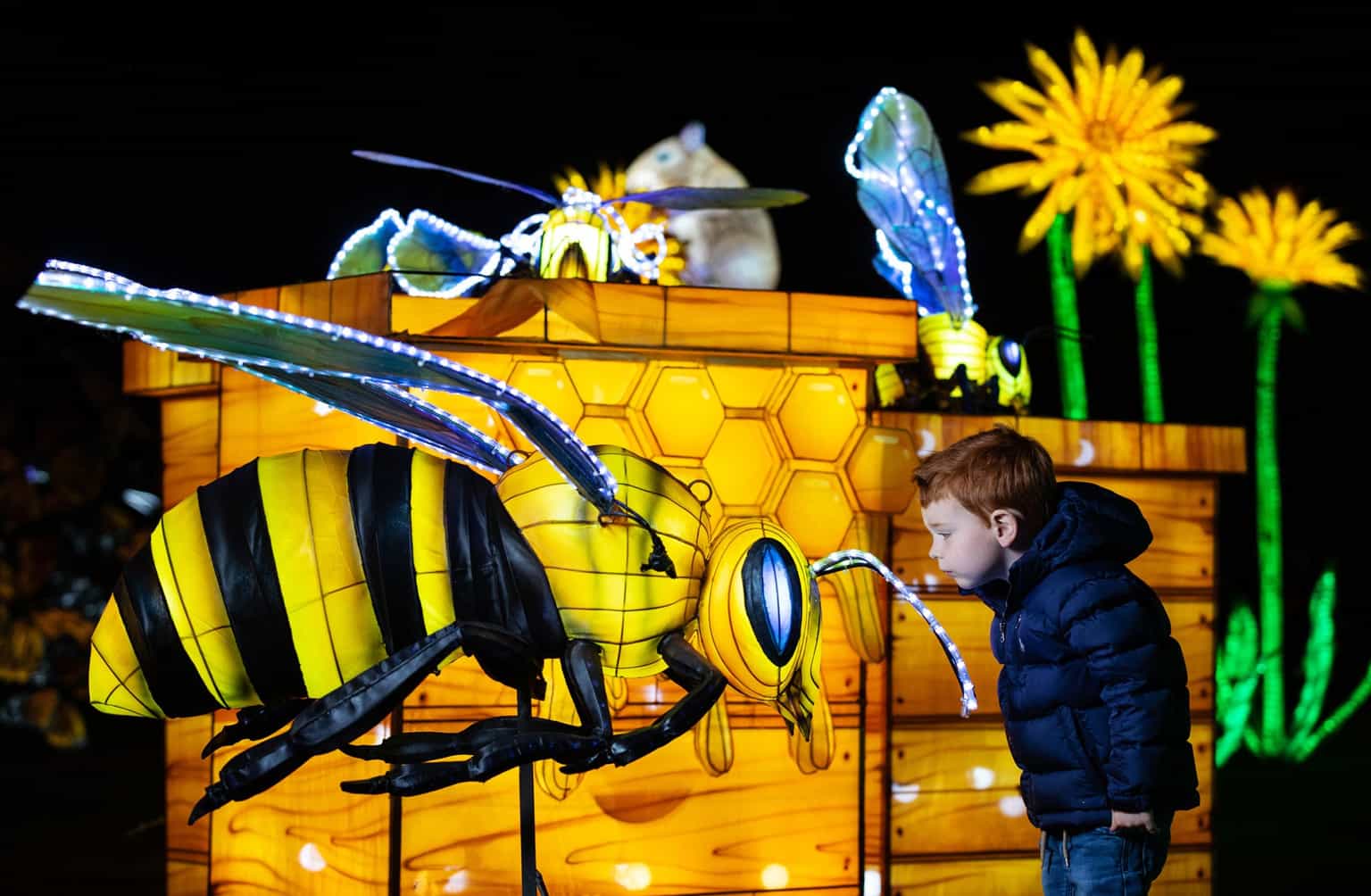 Wild Lights is returning to Dublin Zoo with a brand new theme for winter 2022