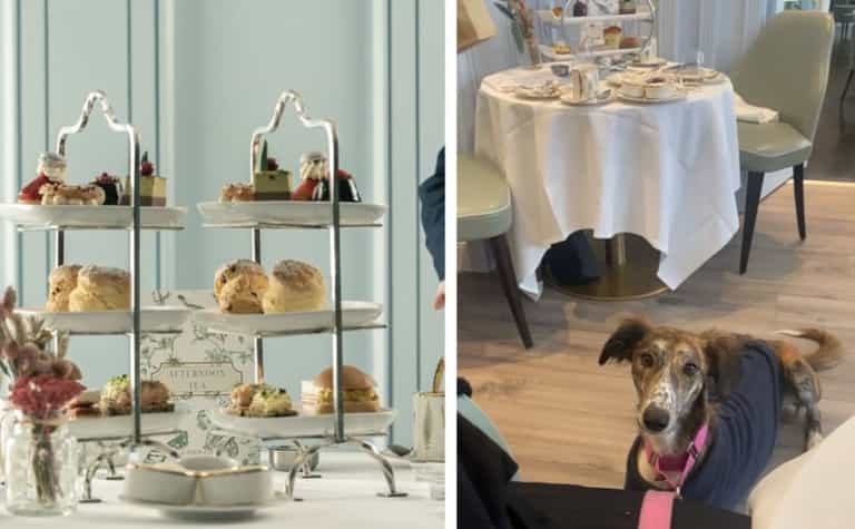 Here’s where you can take your dog for a 5 star afternoon tea in Dublin