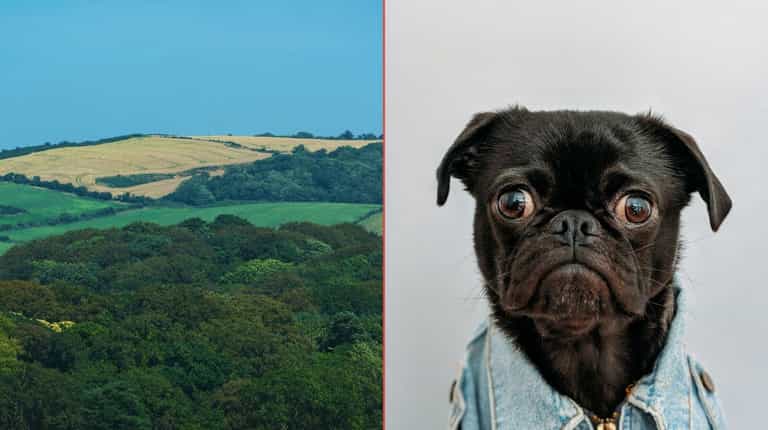 Ye what? Tourists find these 5 Irish towns the hardest to pronounce