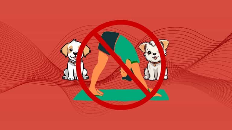 Animal welfare charities urge public not to attend new puppy yoga sessions