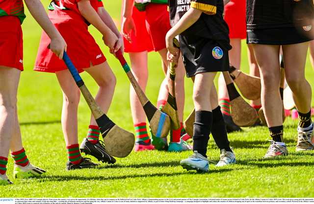 Should camogie players be allowed to wear shorts? Should camogie players be allowed to wear shorts?
