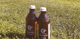 The notions are real – you can now get kombucha on tap on South William Street!