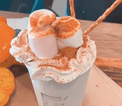Swap your typical pumpkin spice latte for a s’more pumpkin spice hot chocolate!
