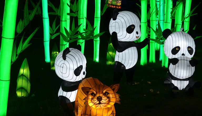 7 ways to celebrate Chinese New Year in Dublin