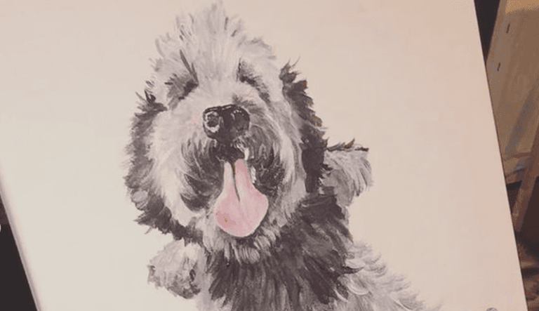 The Doghouse Howth to host Paint Your Pet event