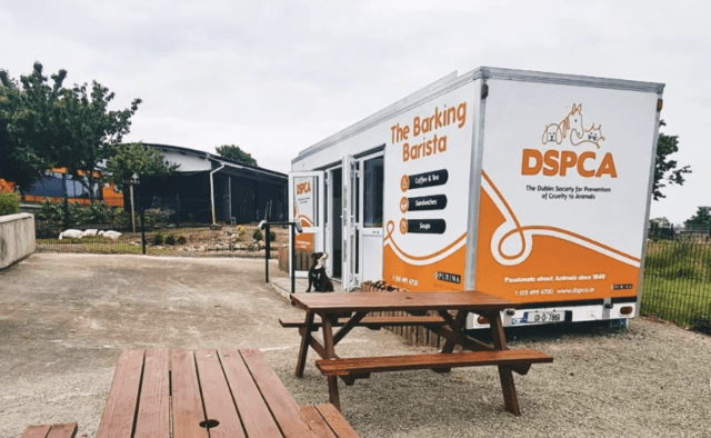‘We could not be happier’ Ruff Café opens new spot at DSPCA