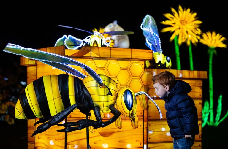 Wild Lights is returning to Dublin Zoo with a brand new theme for winter 2022
