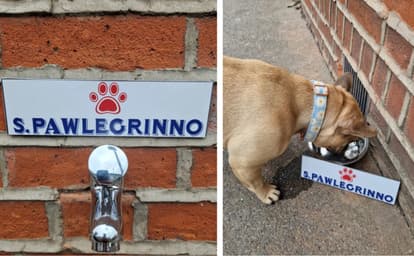 ‘Notoriously dog friendly’ Dublin pub installs ‘Pawlegrinno’ tap to keep pups hydrated