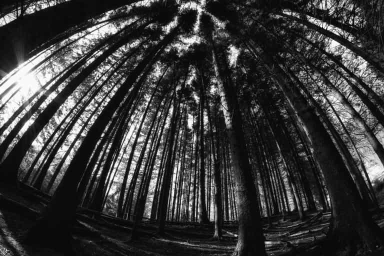 There’s a terrifying ‘Blair Witch’ experience happening in Dublin this weekend There’s a terrifying ‘Blair Witch’ experience happening in Dublin this weekend