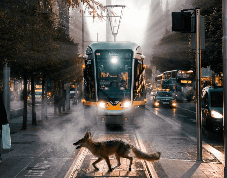 PICS: these were Lovin Dublin’s top 10 Instagram photos of the year PICS: these were Lovin Dublin’s top 10 Instagram photos of the year