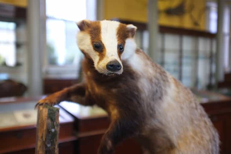Seven free things to do in Dublin this month Seven free things to do in Dublin this month