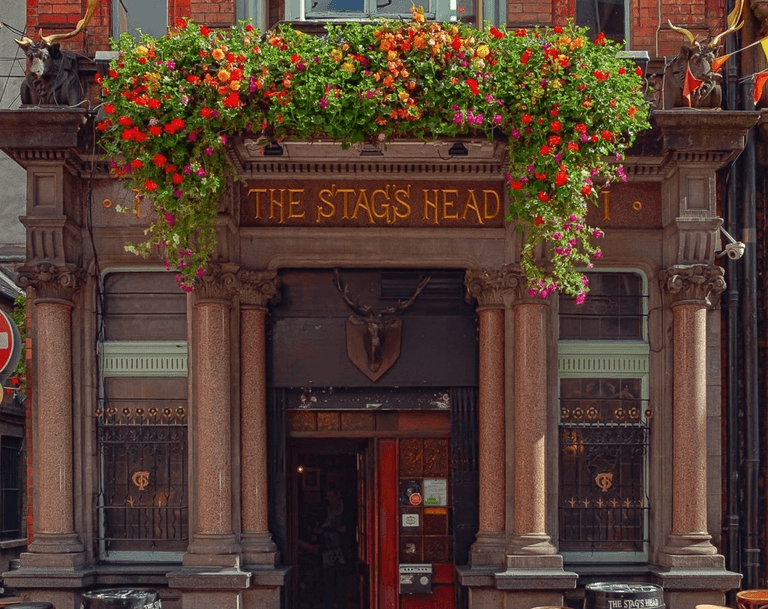 Stag’s Head releases statement addressing Dame Court controversy Stag’s Head releases statement addressing Dame Court controversy