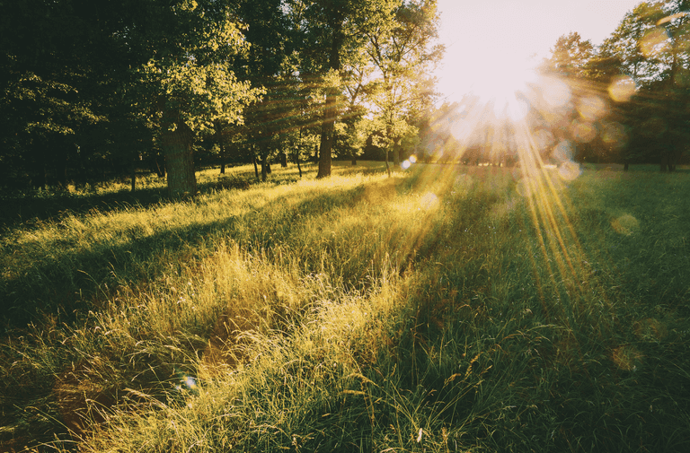 Warm weather to make a welcome return to Dublin this week Warm weather to make a welcome return to Dublin this week
