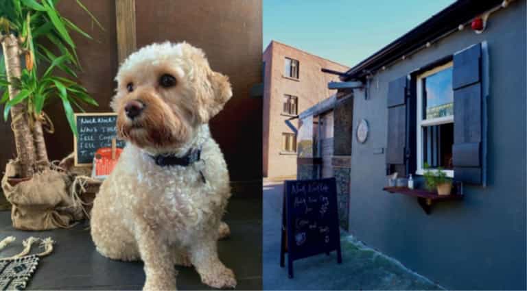 This dog-friendly café has just opened at a new home along the canal This dog-friendly café has just opened at a new home along the canal