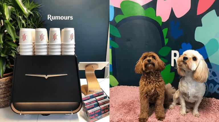 This dog groomers turned café combines two of our greatest loves This dog groomers turned café combines two of our greatest loves