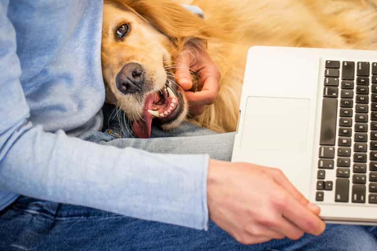 New report reveals top moments that sparked kindness online last year New report reveals top moments that sparked kindness online last year