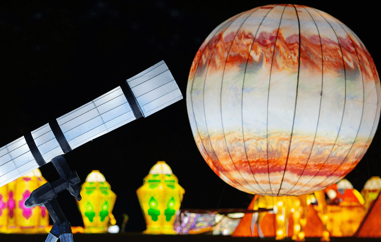 Wild Lights is coming back to Dublin Zoo this year! Wild Lights is coming back to Dublin Zoo this year!