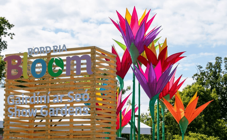 Everything you need to know about Bloom 2023 Everything you need to know about Bloom 2023