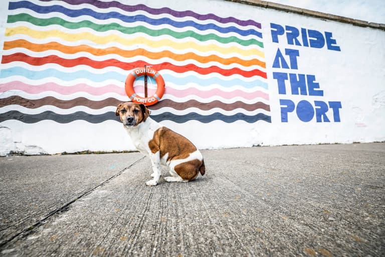 Dublin Port Co paint the town rainbow with this new Pride mural Dublin Port Co paint the town rainbow with this new Pride mural