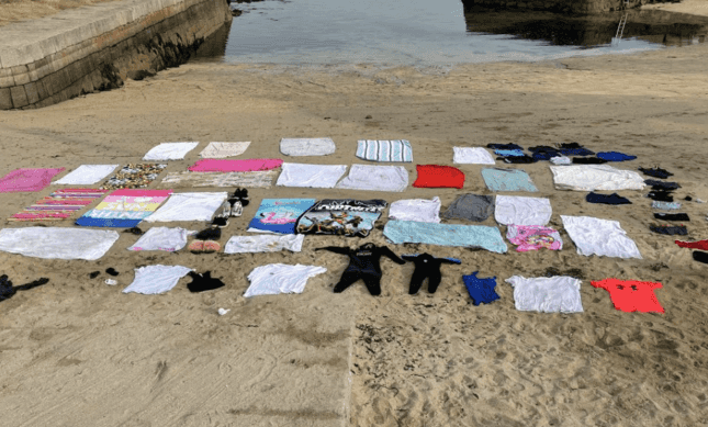 Litter left at beaches during sunny weather repurposed for rescue seals Litter left at beaches during sunny weather repurposed for rescue seals