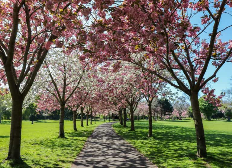 10 of the best spots in Dublin for a weekend picnic 10 of the best spots in Dublin for a weekend picnic