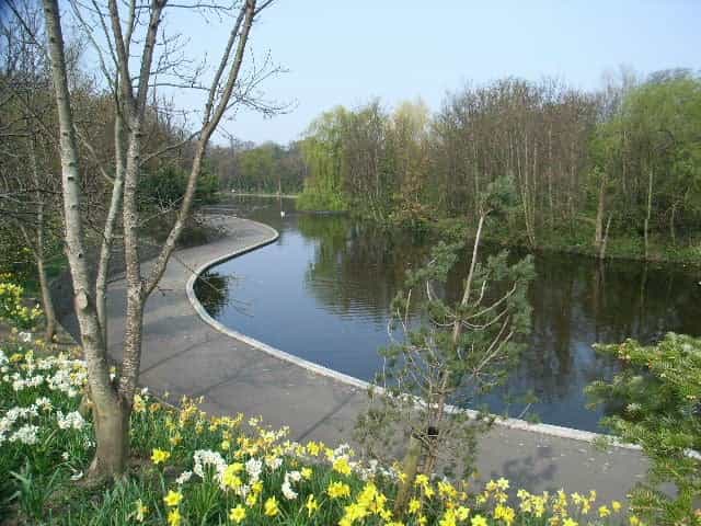 Trishaw scheme to launch at Dodder Park for people with reduced mobility Trishaw scheme to launch at Dodder Park for people with reduced mobility