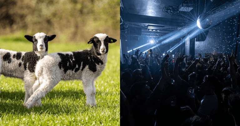 9 events to check out in Dublin over the Easter bank holiday weekend 9 events to check out in Dublin over the Easter bank holiday weekend