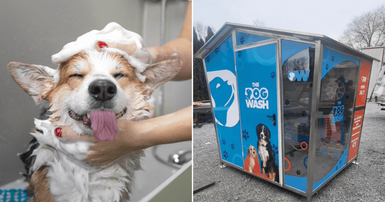 One-of-a-kind self-serve dog wash is launching in Portmarnock One-of-a-kind self-serve dog wash is launching in Portmarnock