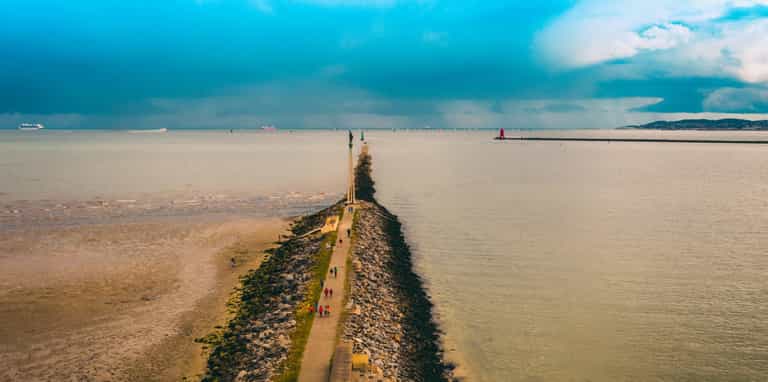 Bull Island to be partially closed off to visitors Bull Island to be partially closed off to visitors