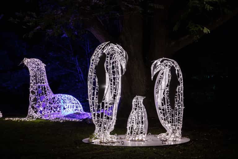 Wonderlights Malahide is back for Christmas 2023 with a magical new theme Wonderlights Malahide is back for Christmas 2023 with a magical new theme