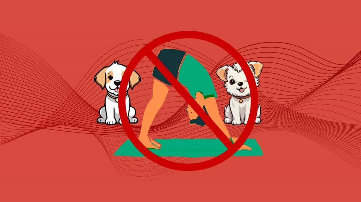 Animal welfare charities urge public not to attend new puppy yoga sessions