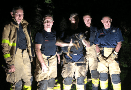 Coco the dog rescued from rabbit hole overnight by Dublin Fire Brigade