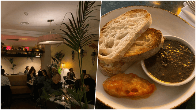 REVIEW: Glas brings the ‘night out’ feel to vegan/vegetarian dining in Dublin REVIEW: Glas brings the ‘night out’ feel to vegan/vegetarian dining in Dublin