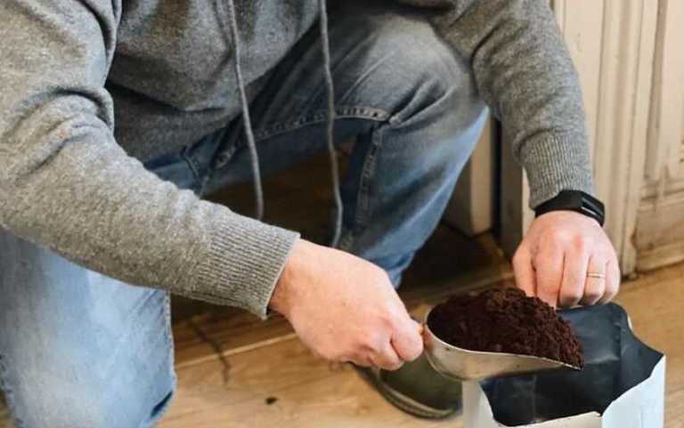Calling all plant parents – This Dublin café is giving away free compost Calling all plant parents – This Dublin café is giving away free compost