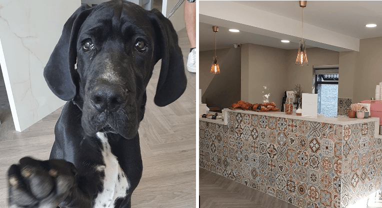 A new pup-friendly and Insta-worthy cafe has opened in Clonskeagh! A new pup-friendly and Insta-worthy cafe has opened in Clonskeagh!